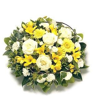 Yellow Posy