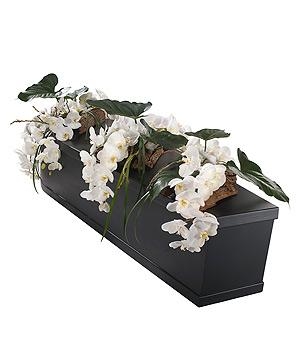 White Orchid Casket Bar Trio