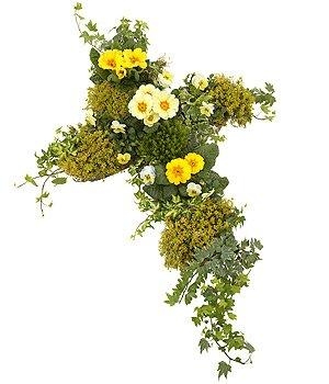 Yellow Planted Cross