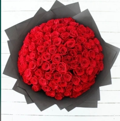 100 Red Freedom roses